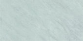 POR KLIFF PEARL NATURAL RECT 24X48  | Prosein