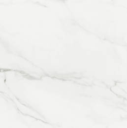  POR CARRARA WHITE NATURAL RECT 24X24 | Prosein