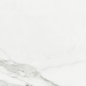 POR CARRARA WHITE POLISHED RECT 24X24 | Prosein