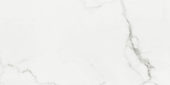 POR CARRARA WHITE POLISHED RECT 24X48  | Prosein
