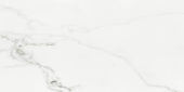 POR CARRARA WHITE POLISHED RECT 24X48  | Prosein