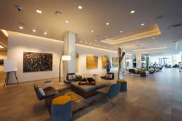 Project. Art Ovation Hotel | Prosein USA