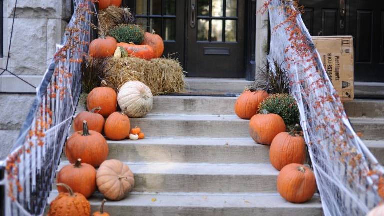 6 IDEAS TO GET THE PERFECT HALLOWEEN DECORATION | Prosein USA