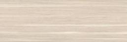 CER AMAZONAS HAYA LINEAL 9544 12X36 | Prosein USA