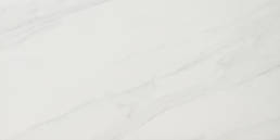 POR CARRARA MATT 24x48 | Prosein USA