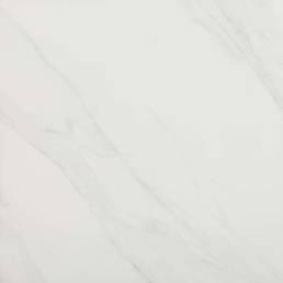 POR CARRARA POL 48x48 | Prosein USA