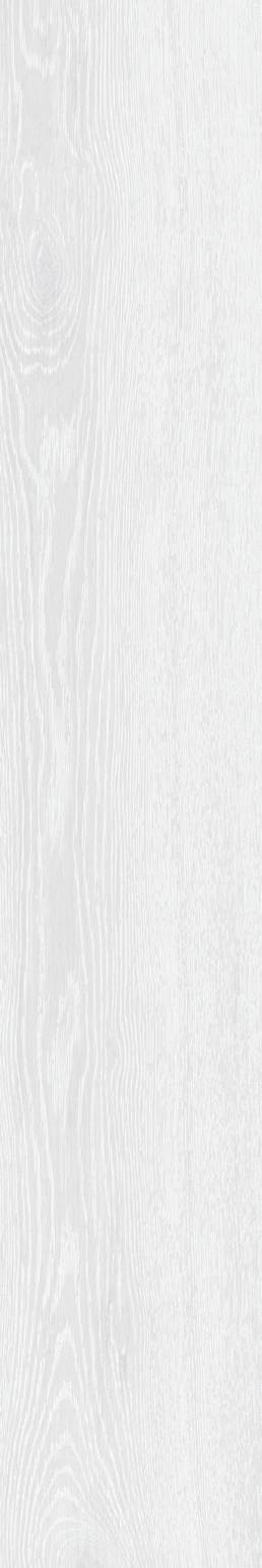 POR FOREST WHITE 8X48 RECT | Prosein USA