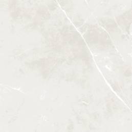 POR PIERTRA WHITE MATT 48X48 | Prosein USA