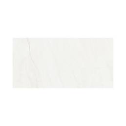 POR SWING BLANCO POLISHED 24X48 | Prosein USA